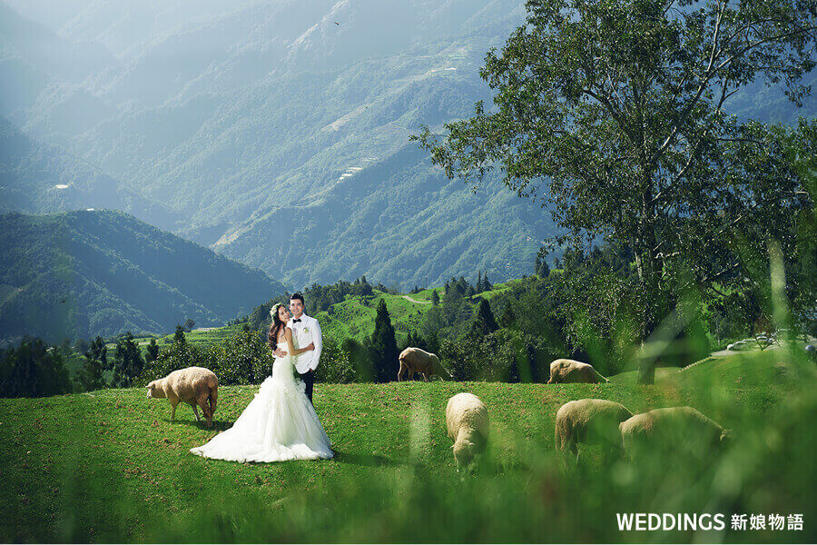 中婚紗,旅拍婚紗,小蜜月旅拍,台中婚紗景點,華納婚紗